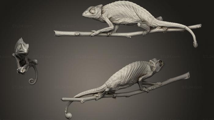 Статуэтки животных (Хамелеон, STKJ_0814) 3D модель для ЧПУ станка